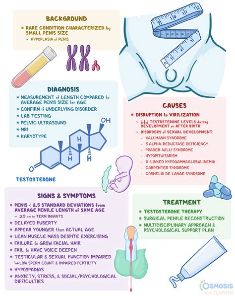 little penis|Micropenis: What Is It, Causes, Diagnosis and More .